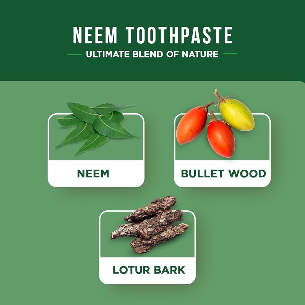 Dabur Antibacterial Neem Toothpaste (Pasta de dinti cu Neem) 100ml